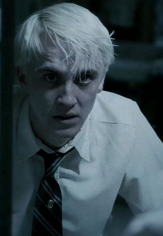 tom_felton_1227629072.jpg