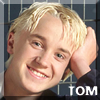 tom-av1.jpg